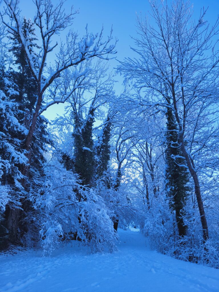 neige sur le Vercors Vercors randonnée 