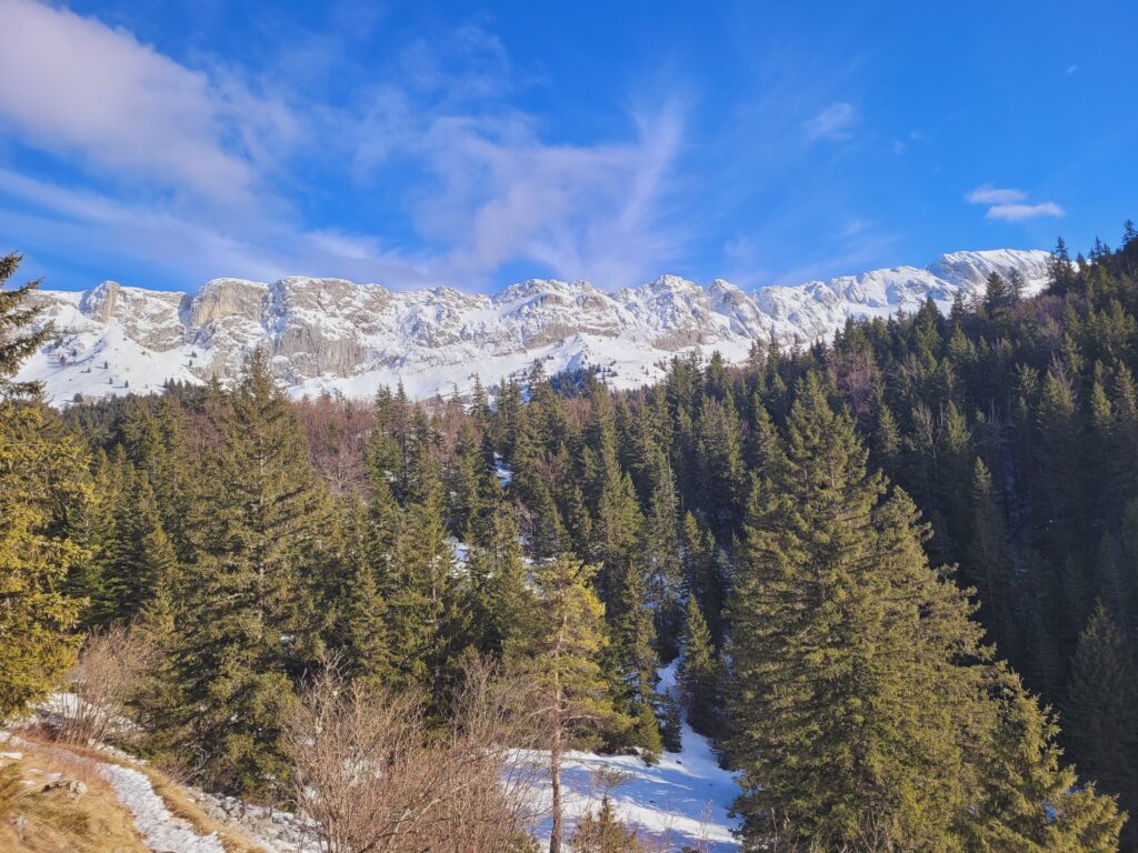 Les arrêtes du Gerbier Vercors randonnée Hiver 2026