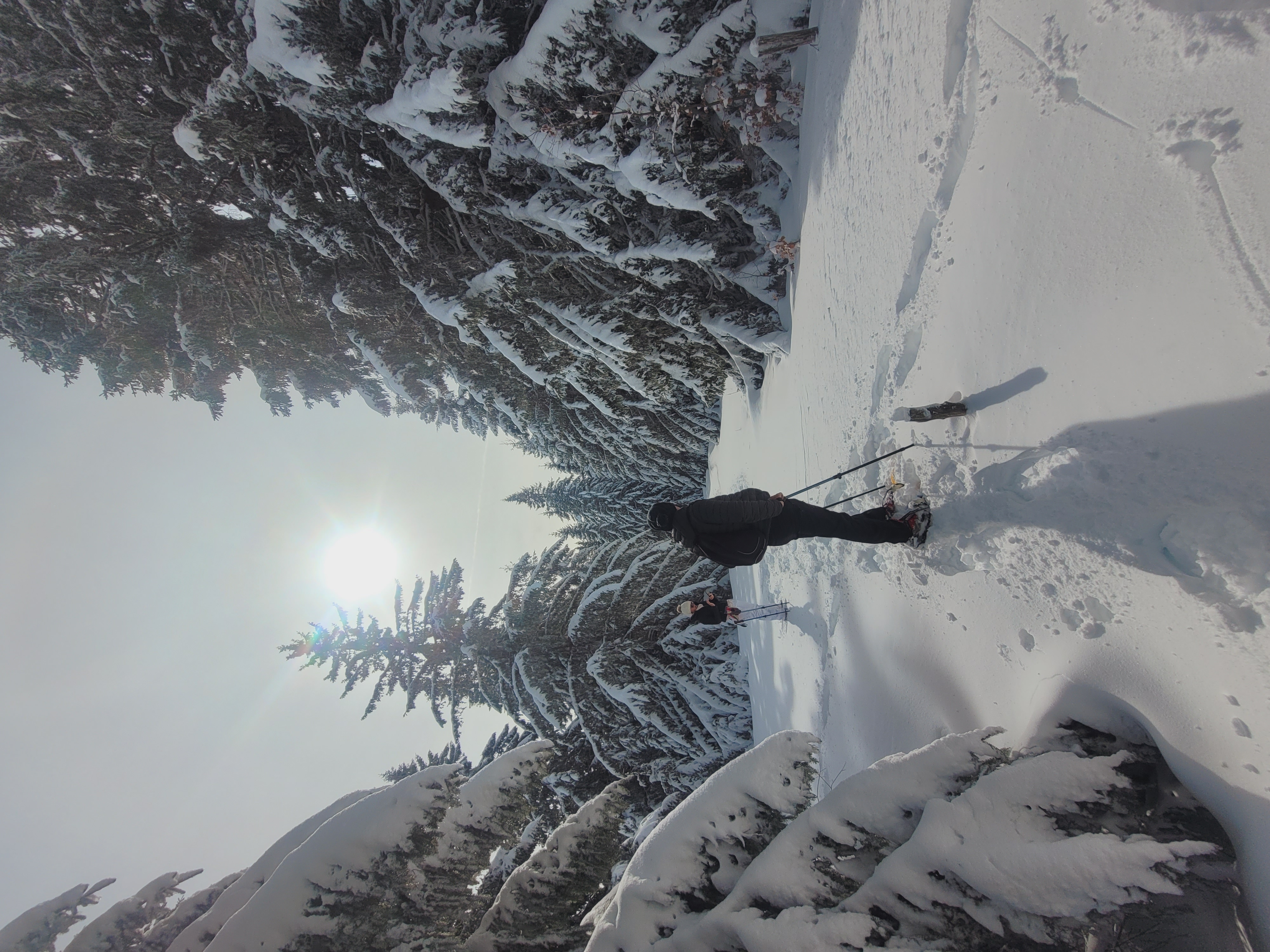 randonnée Vercors paysage de neige hiver 2026