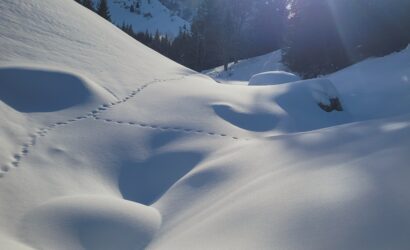 paysage de neige hiver 2026 Vercors Randonnée